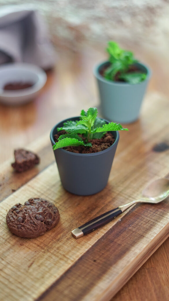 Mousse au chocolat façon pot de fleur trompe l oeil Les Pépites de