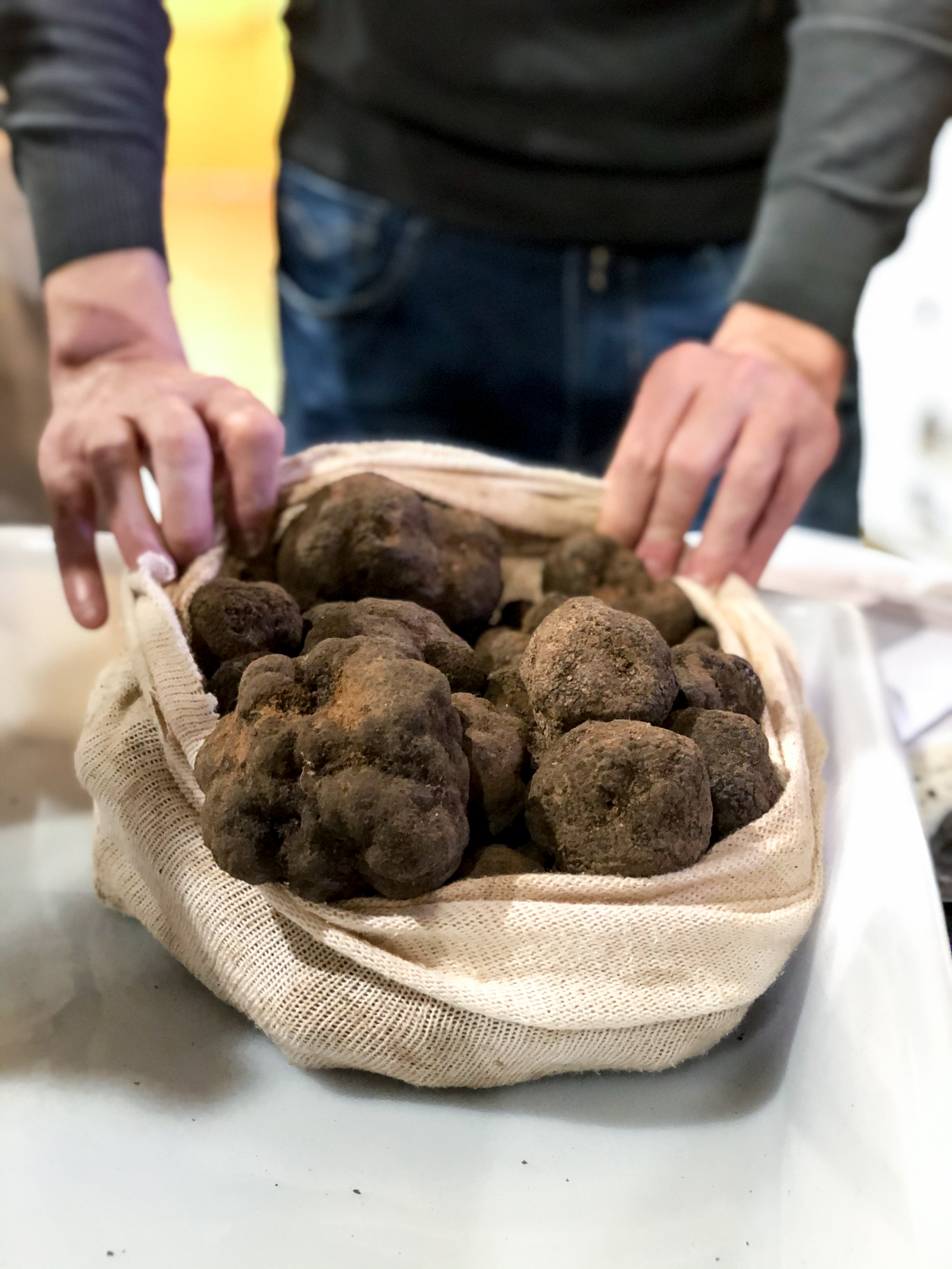 Osona-truffes-Vic-trufforum-18.jpg